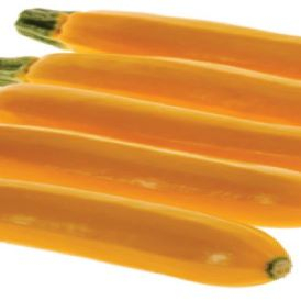 Zucchini Sebring Hybrid  Product Image